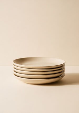 Stoneware Dinner Plates, Set of 4